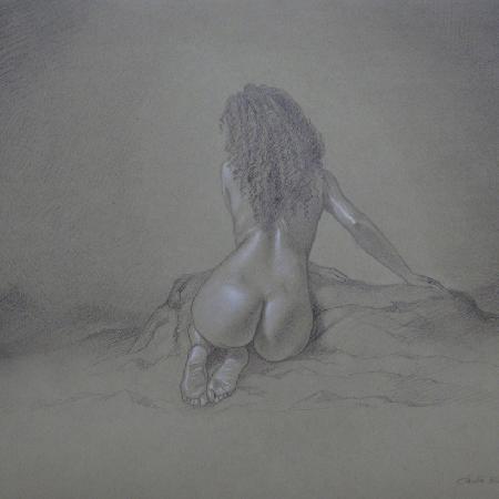 FOG<br>2019<br>Pencil and white chalk on paper, 45 x 22 in.